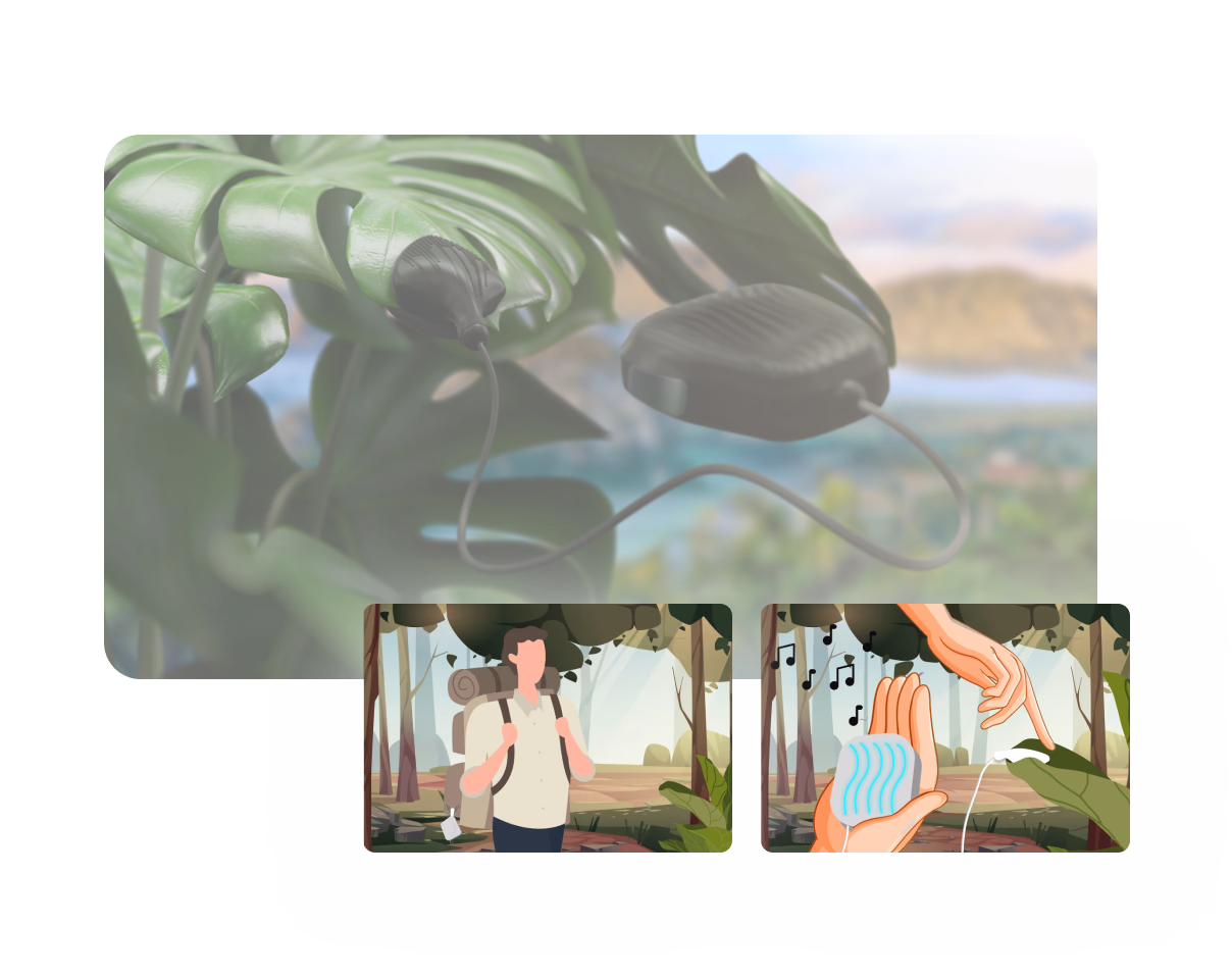 FloraTune